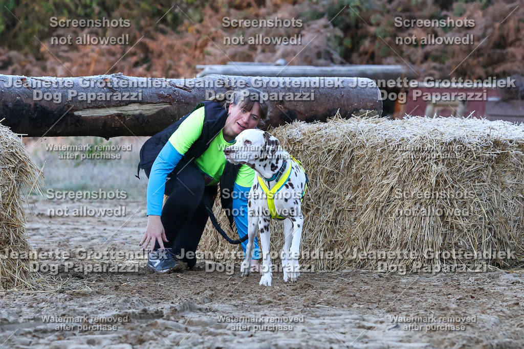 Dog Paparazzi - Strongdog 10-25-302 | Dog Paparazzi Jeanette Grottendiek Fotografie & Videografie - Realisiert mit Pictrs.com