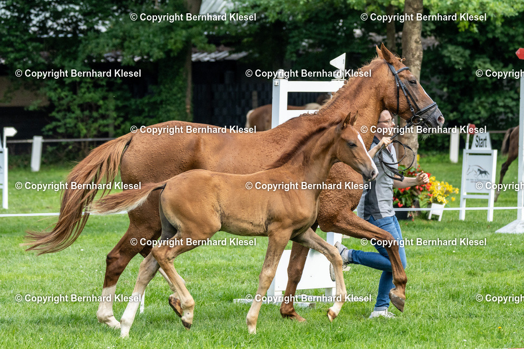 _DSC0756 | foto-team-bernhard - Realisiert mit Pictrs.com