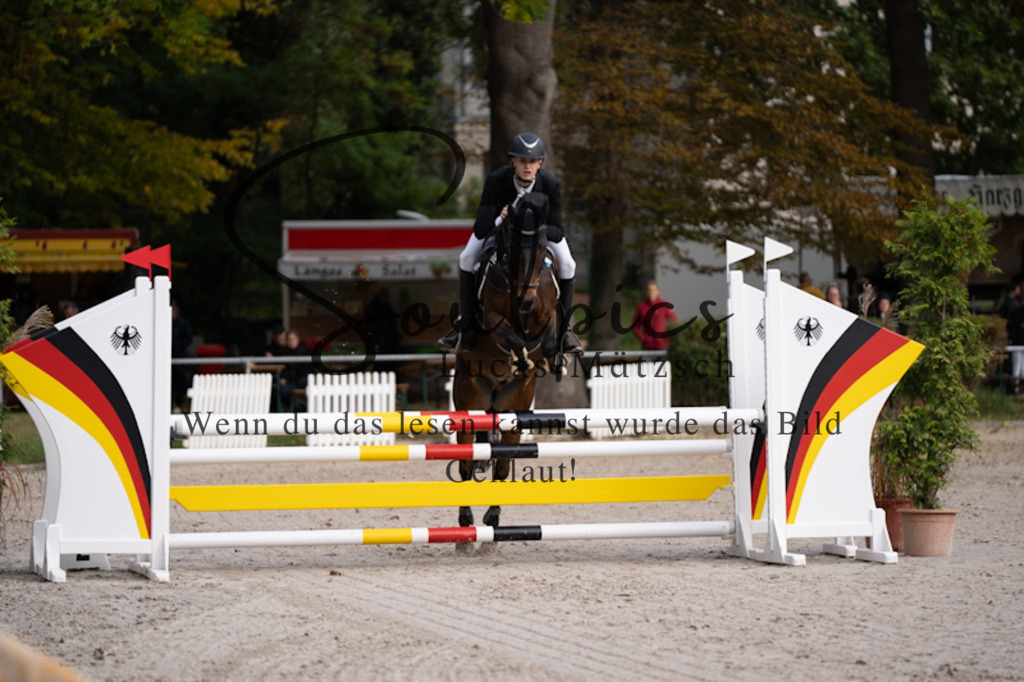 A7V00444 | Pferdefotograf