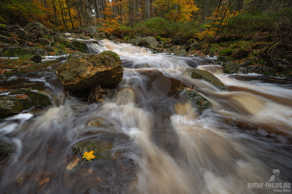 R5NF8976 | Herbstliche Landschaft mit Gebirgsbach. - Realisiert mit Pictrs.com