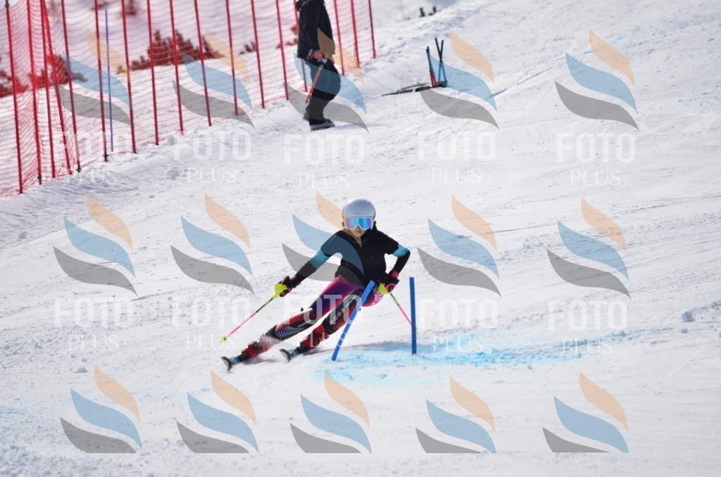 C9966 | holidayphoto