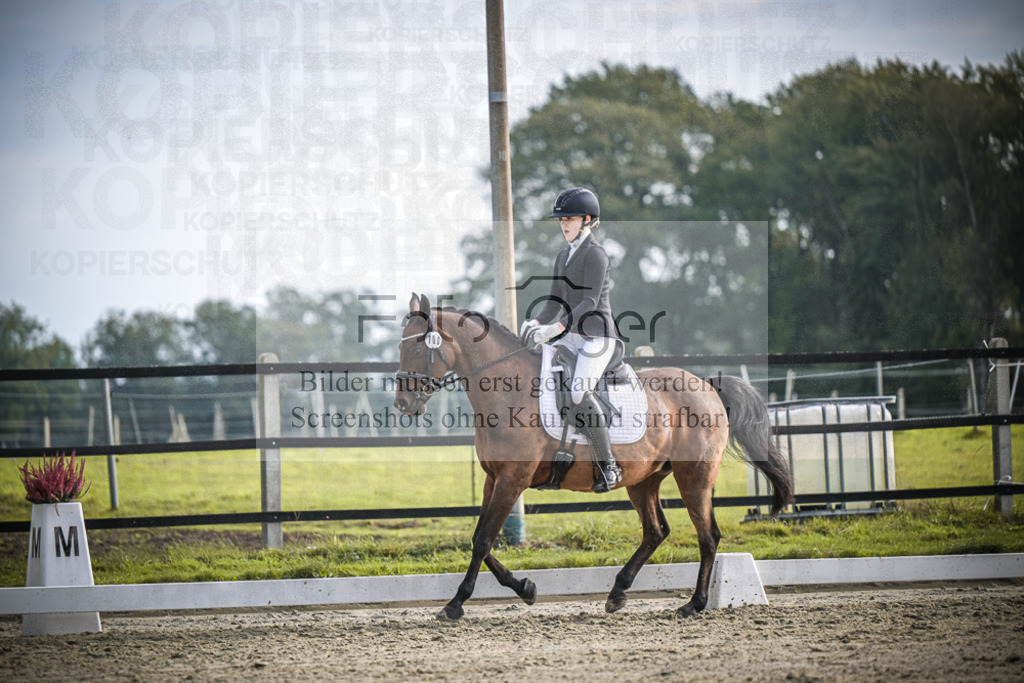 DOS_B146 | Entdecke hochwertige Reitturnierfotos von Foto Oger. Professionell, emotional und authentisch – jetzt Lieblingsmomente im Shop bestellen.Deutschlandweite Turnierfotografie. - Realisiert mit Pictrs.com