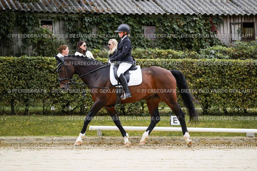 DSC04354 | Pferdegrafie