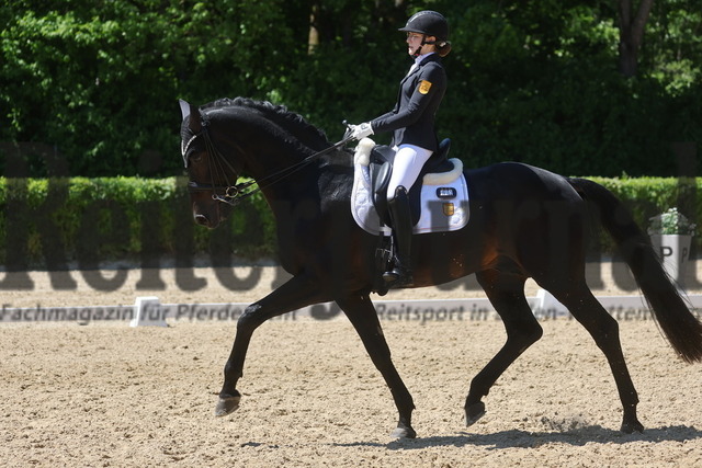 Böblingen_2025_Prfg.Nr.08_Dressurprüfung_Kl.M_Nürnberger Burgpokal_Nova Eden Gelf_Beckham GT (2) | Alle Fotos der Reiterjournal Fotografin Doris Matthaes im Reiterjournal Online-Fotoshop. - Realisiert mit Pictrs.com