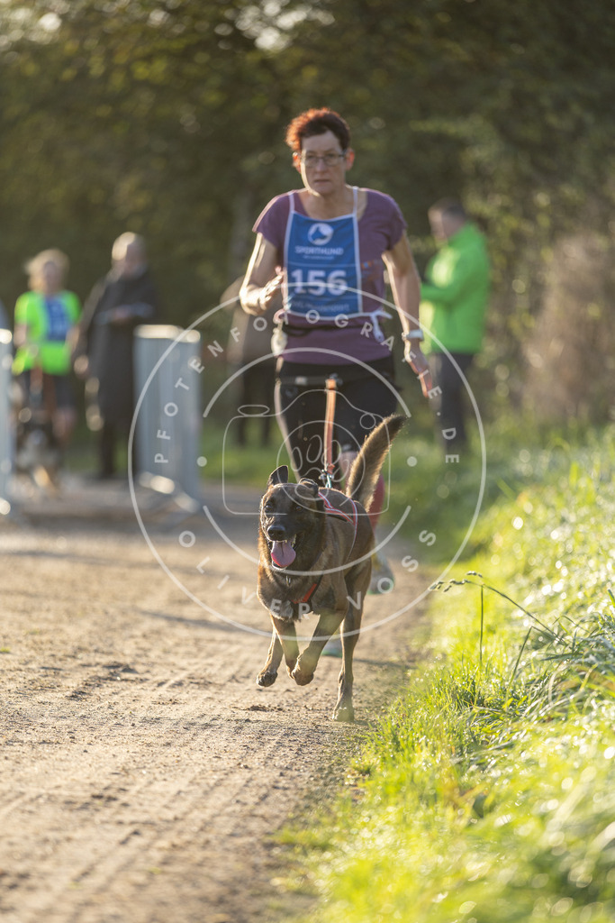 Pfotenfotografie.de_DV3A2612 | Hundefotografie, Tierfotograf, Pfotenfotografie, Fotoshooting Hund, Hunde Portrait, Hundesport, Hundeportraits, Heideshooting, Hunde, Sportfotograf, Hundefotograf, Turnierhundsport, THS, canicross - Realisiert mit Pictrs.com