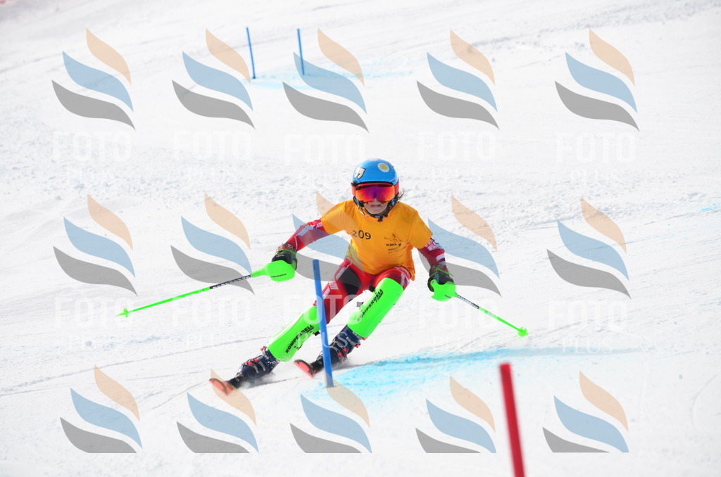 C8169 | holidayphoto