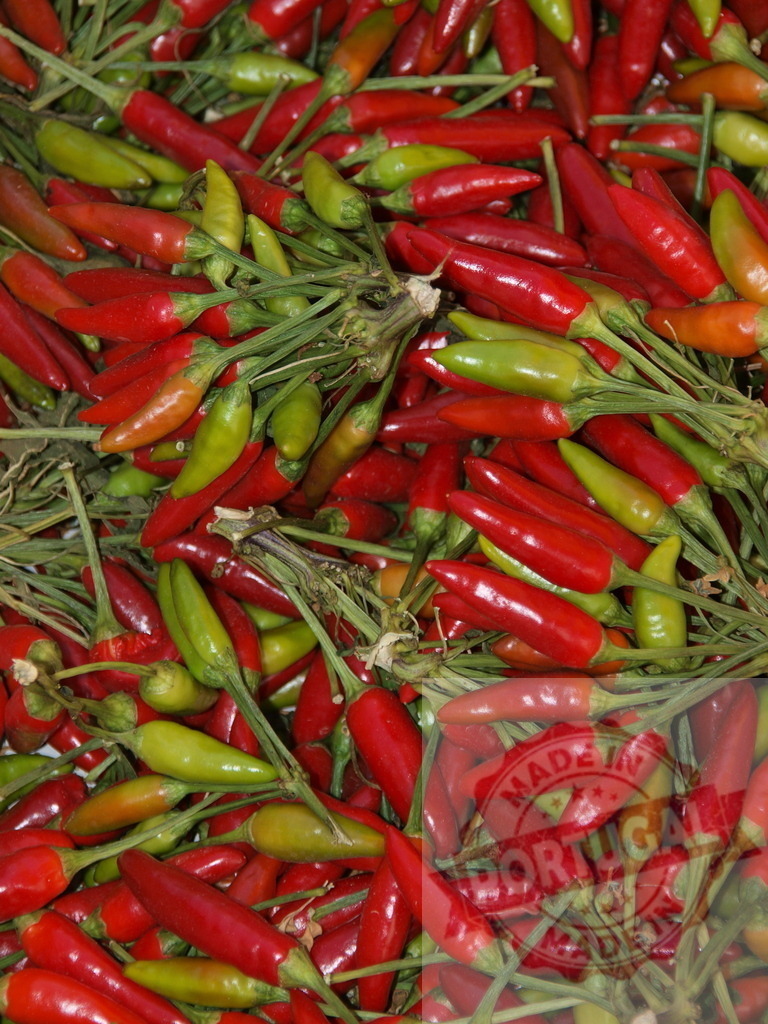 Bird's eye chili peppers creating a spicy food background | Bird's eye chili peppers piling up, showing fresh harvest and spicy ingredients - Realized with Pictrs.com