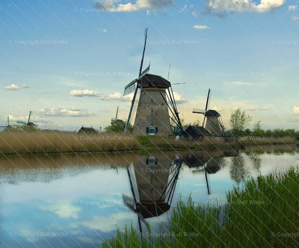 1D3A6125 | Rolf Wittke  - Realisiert mit Pictrs.com