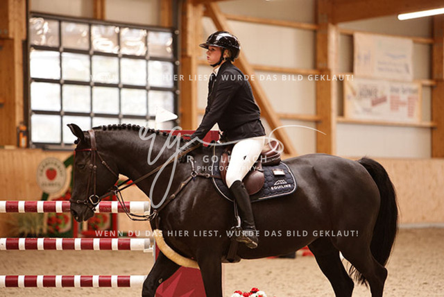 1J2A9117Mira Leinert_ Ilari R_ Kn291_ Glantz_ Hohen Wieschendorf | Foto- und Videografie für alles rund ums Pferd. Hochwertige Bilder und Videos vom Spring- und Dressurreiten, Voltigieren & mehr. Jetzt aktuelle Veranstaltungen und Preise im Shop ansehen. - Realisiert mit Pictrs.com