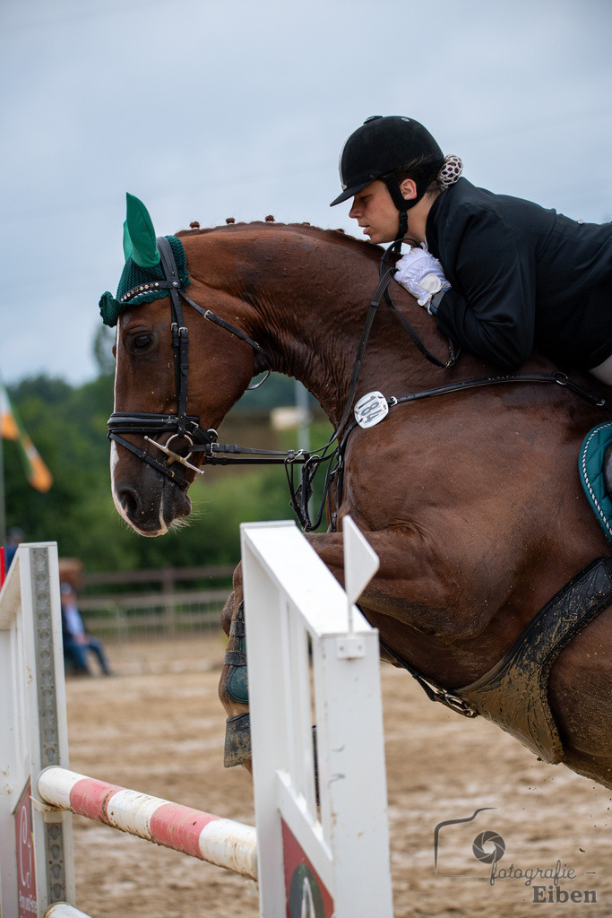Springturnier Ammerländer Reitclub | Springturnier Ammerländer Reitclub (Punktespringprüfung KI.L 115cm am 30.06.2024; in Westerstede (Ammerländer Reitclub), Photo: Philip Eiben 2024 - Realisiert mit Pictrs.com