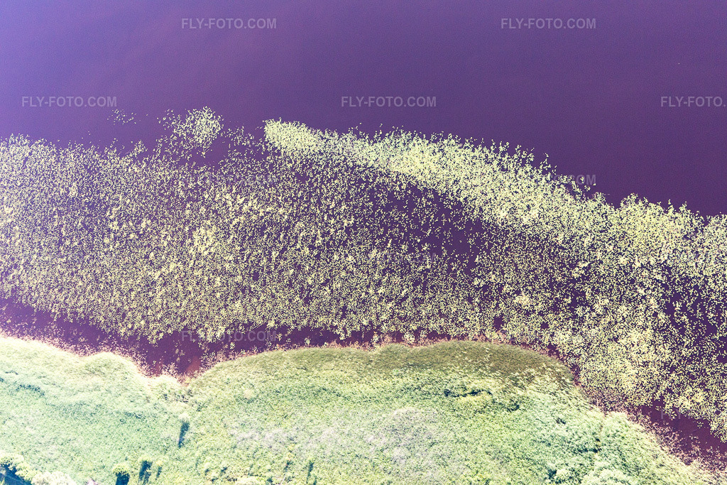 Aerial view: View of the town in Torne in the state Kronoberg, Sweden. – Photo: IMG_108183.jpg taken on 06/28/2018 by Werner Riehm/FLY-FOTO.com – Resolution of the original: 5472 x 3648 px