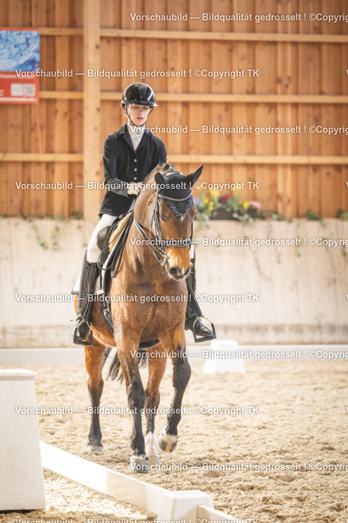 _D5A9605 | Emotionale Pferde- & People-Fotografie rund um Heidelberg, Leimen & Umgebung. Natürliche Fotos von Pferd, Mensch & Familie. Jetzt Termin sichern!