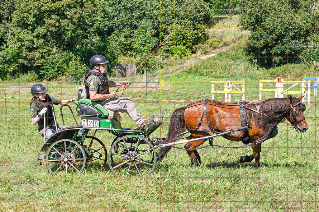 30 Jahre RFV Pulsnitz e.V., Pulsnitz am 09.08.2026 | 30Jahre Reit- und Fahrverein Pulsnitz e.V., Pulsnitz am 08.08.2026Zur 28. breitensportlichen Veranstaltung des RFV Pulsnitz e.V. fanden verschiedene Wettbewerbe in nahezu allen Disziplinen des Pferdesport statt.- Geländefahr-Wettbewerb - Realisiert mit Pictrs.com
