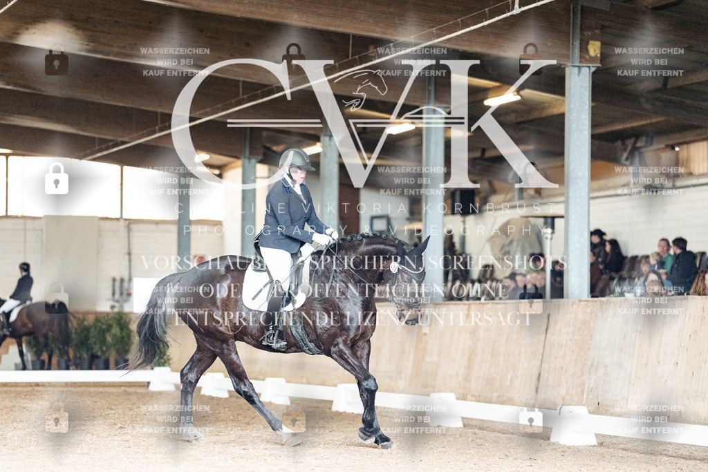 CK902285 | Turnierfotografie Pferdefotografie Trier Rheinland-Pfalz Pferdesport Reitsport Tierfotografie Sportfotografie Pferdevideo Pferdevideografie Equestrianvideography equestrianphotography  - Realisiert mit Pictrs.com
