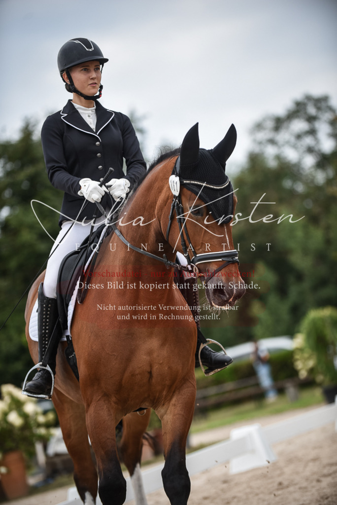 DSC_8281 | Pferde- und Turnierfotografie in Westsachsen. Pferdeportraits, Auftragszeichnungen und intuitive Kunst.