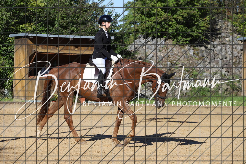 IMG_5133 | Benjamin Bartmann Photomoments