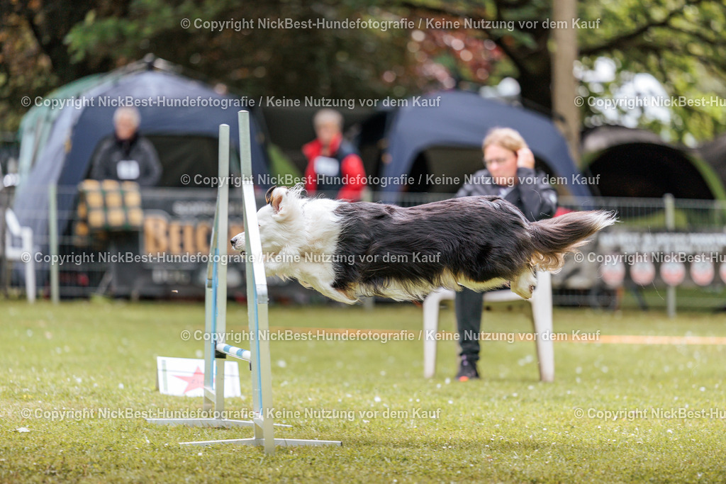 RO-Blumenthal-2026-Nickbest-Hundefotografie-2208 | Dein Hund! Dein Moment! Deine Erinnerungen! Hundefotografie in Bremen Blumenthal. Ich fange die besonderen Momente deines Vierbeiners ein – ob Indoor mit Blitzanlage oder in der freien Natur. Sicher dir dein Moment und dein Termin für eure Erinnerungen.
