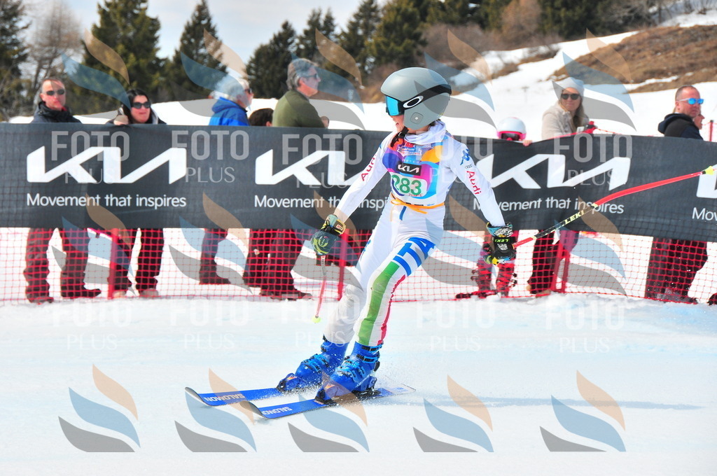 DSC_2640 | holidayphoto