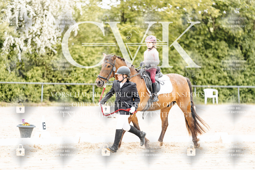 CK903662 | Turnierfotografie Pferdefotografie Trier Rheinland-Pfalz Pferdesport Reitsport Tierfotografie Sportfotografie Pferdevideo Pferdevideografie Equestrianvideography equestrianphotography  - Realisiert mit Pictrs.com