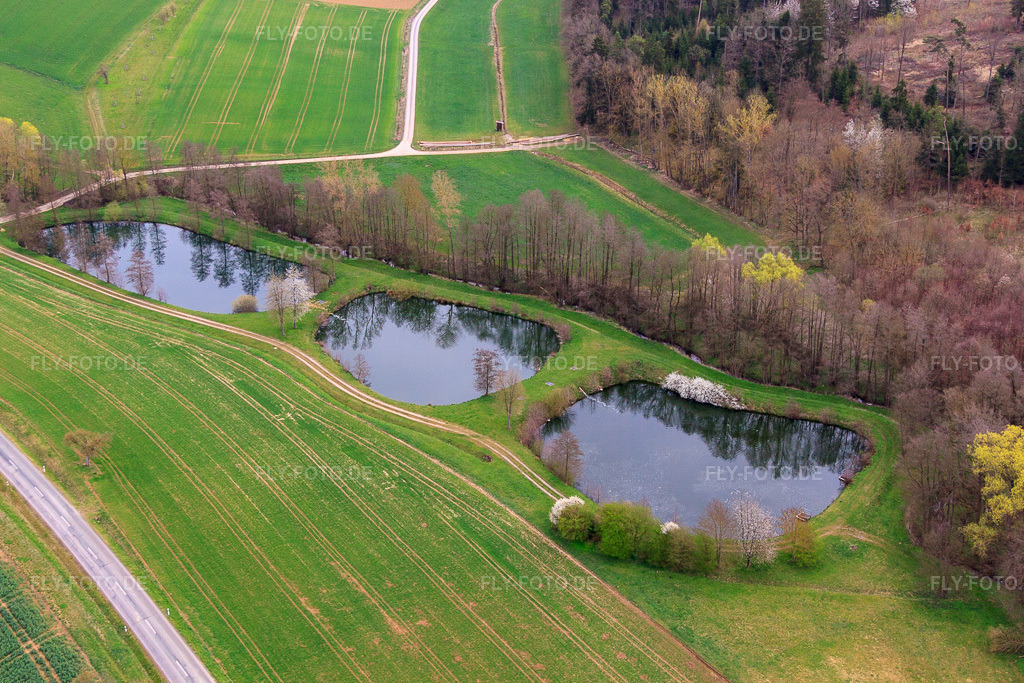 Luftbild: Fischteiche am Erbach im Ortsteil Sondheim in Mellrichstadt im Bundesland Bayern in Deutschland. Foto: IMG_64004.jpg vom 04.04.2014 durch Werner Riehm/FLY-FOTO.de