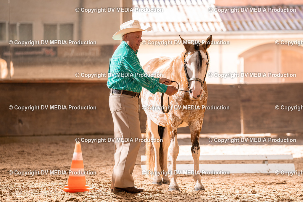 LM Heiligenwald Tag 1-144 | dv-media-shop - Realisiert mit Pictrs.com