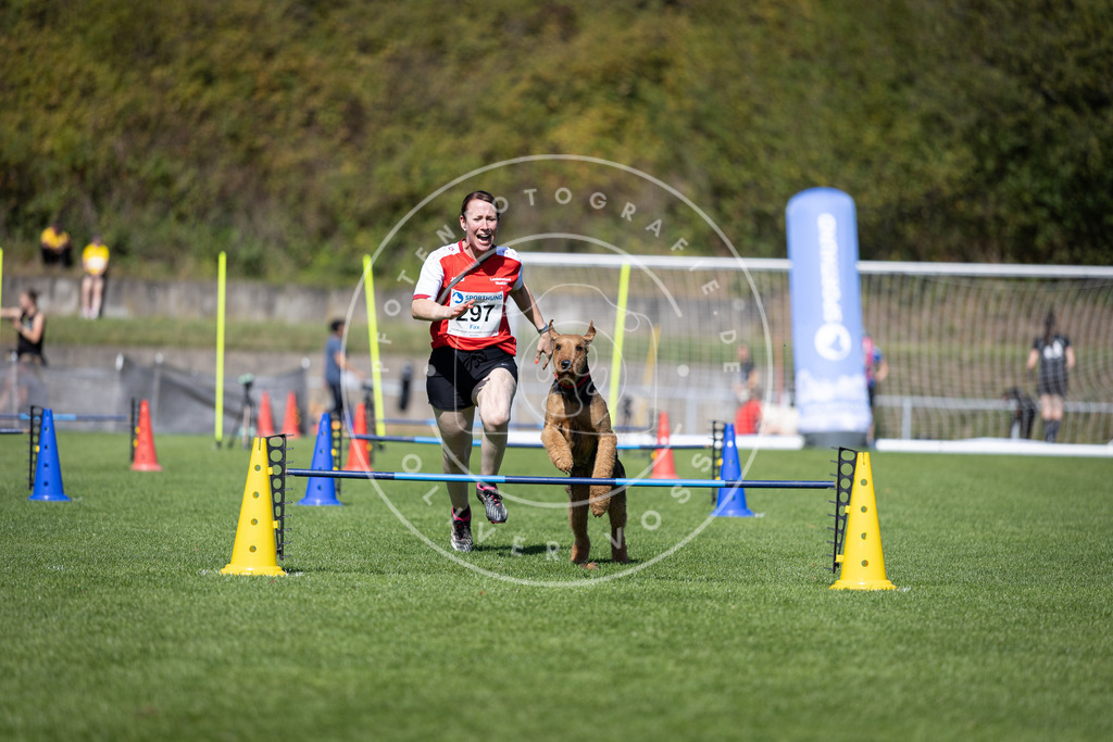 Pfotenfotografie_DV3A7651 | Hundefotografie, Tierfotograf, Pfotenfotografie, Fotoshooting Hund, Hunde Portrait, Hundesport, Hundeportraits, Heideshooting, Hunde, Sportfotograf, Hundefotograf, Turnierhundsport, THS,  - Realisiert mit Pictrs.com