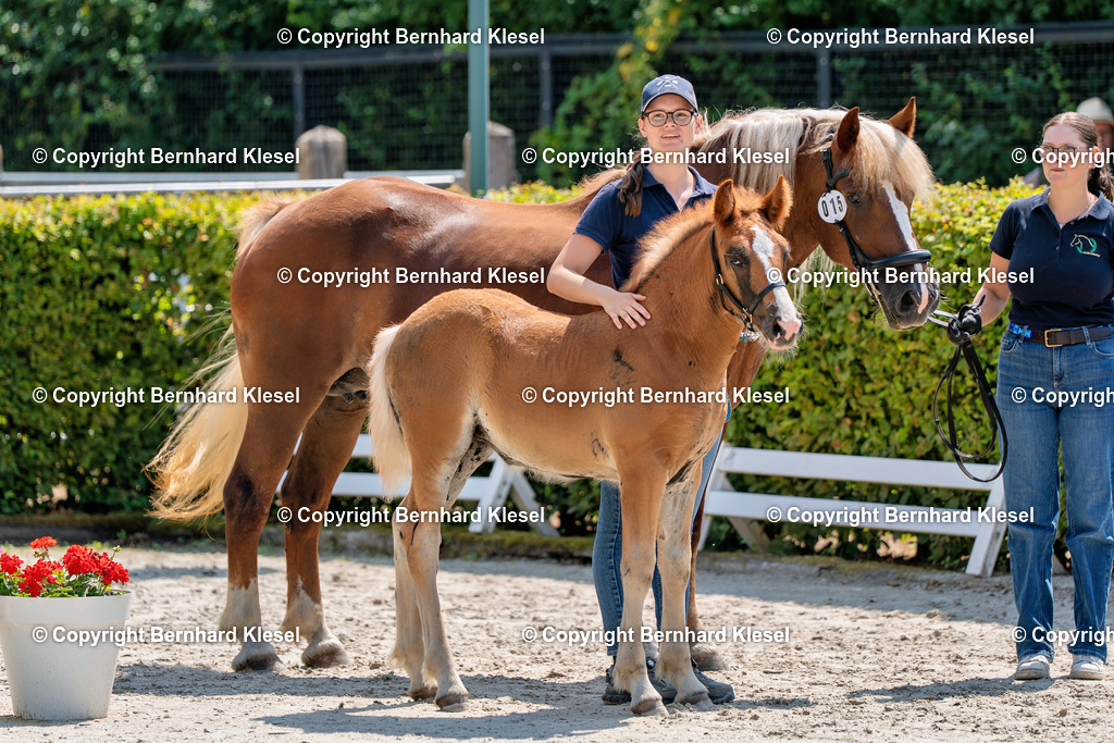 2A900463 | foto-team-bernhard - Realisiert mit Pictrs.com