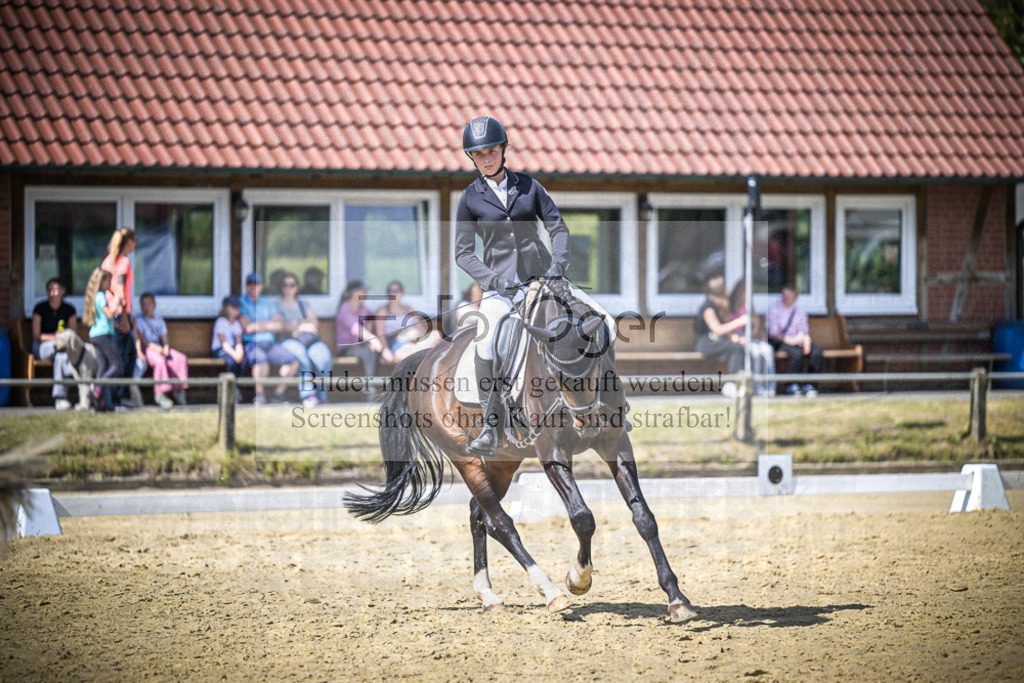 DOS_7252 | Entdecke hochwertige Reitturnierfotos von Foto Oger. Professionell, emotional und authentisch – jetzt Lieblingsmomente im Shop bestellen.Deutschlandweite Turnierfotografie. - Realisiert mit Pictrs.com