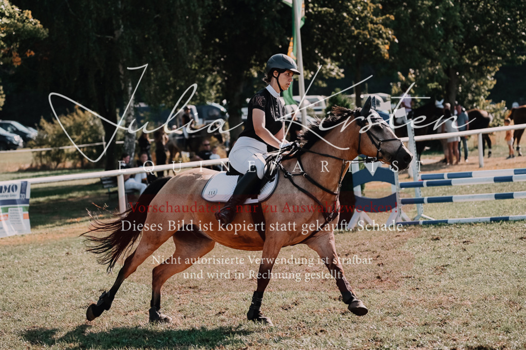 DSC_4848 | Pferde- und Turnierfotografie in Westsachsen. Pferdeportraits, Auftragszeichnungen und intuitive Kunst.