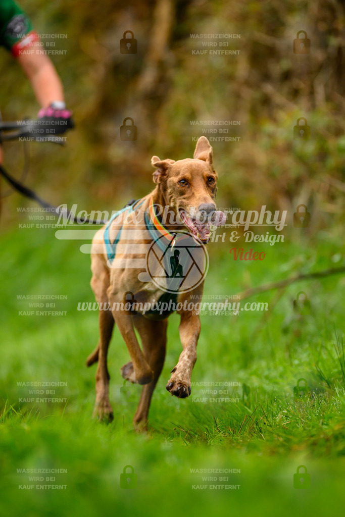 MompixPhotography_20TSB_E8_Bike-168 | PayLife
