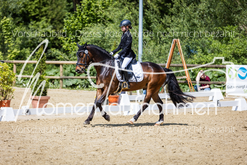 Donop24-RWB-010 | MomenTaufnahmen Pferdesportfotos