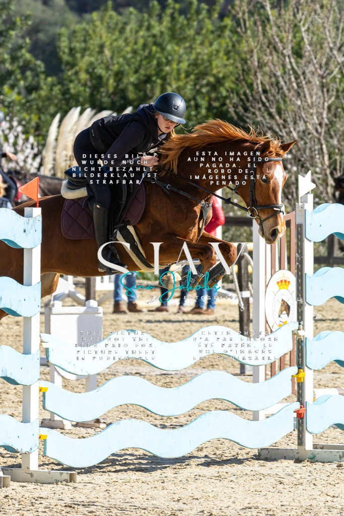 IMG_3931 | s-jay-photography - Realisiert mit Pictrs.com