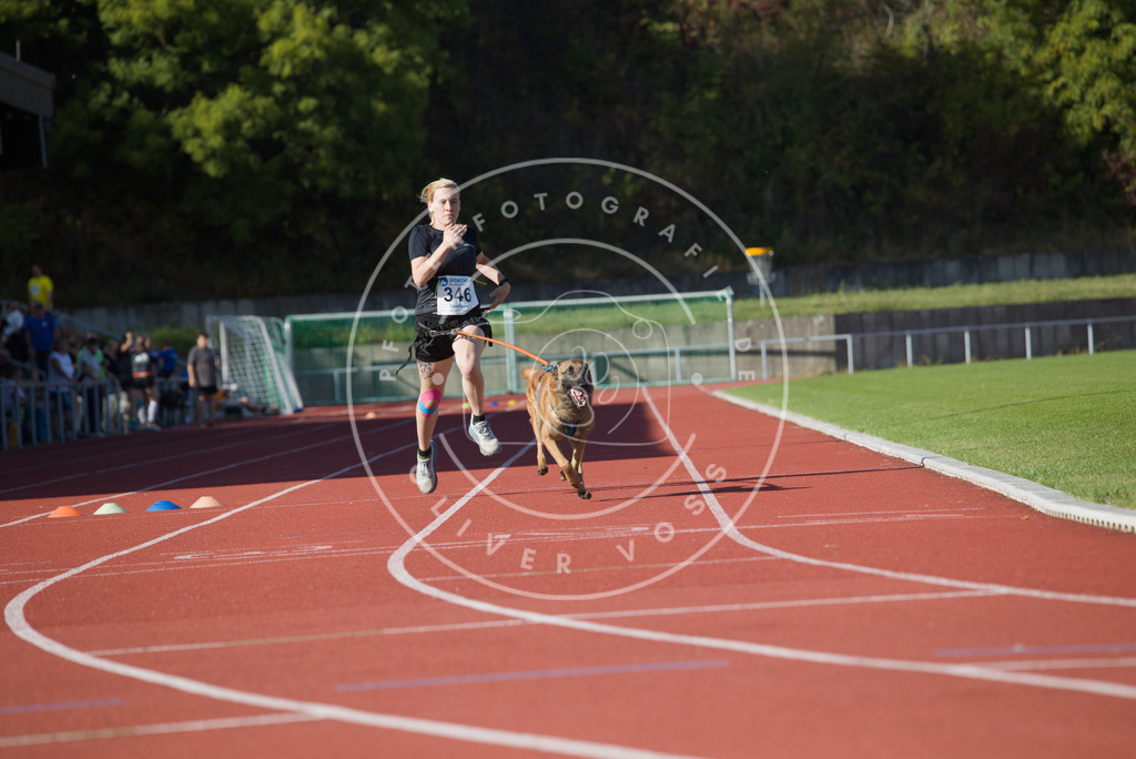 0L8A9293 | Hundefotografie, Tierfotograf, Pfotenfotografie, Fotoshooting Hund, Hunde Portrait, Hundesport, Hundeportraits, Heideshooting, Hunde, Sportfotograf, Hundefotograf, Turnierhundsport, THS,  - Realisiert mit Pictrs.com