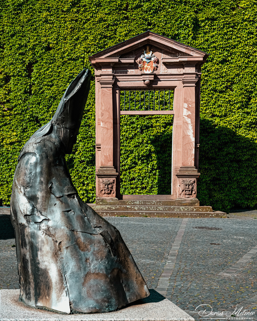 _DSC8799 | Fotografien, Fotos und Bilder aus Mainz, Frankfurt, Wiesbaden und anderen Orten auf der Welt - Fotografiert von Darius Metzner
