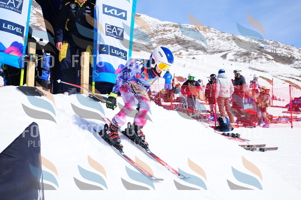 DSC_4912 | holidayphoto