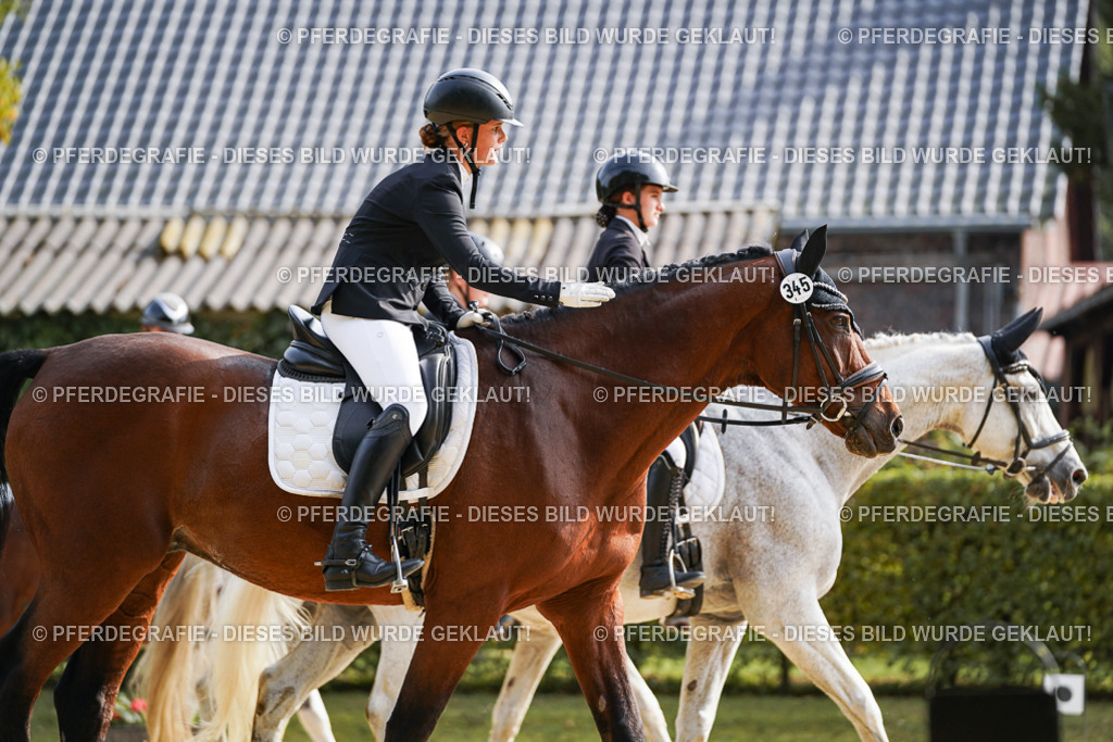 DSC04443 | Pferdegrafie