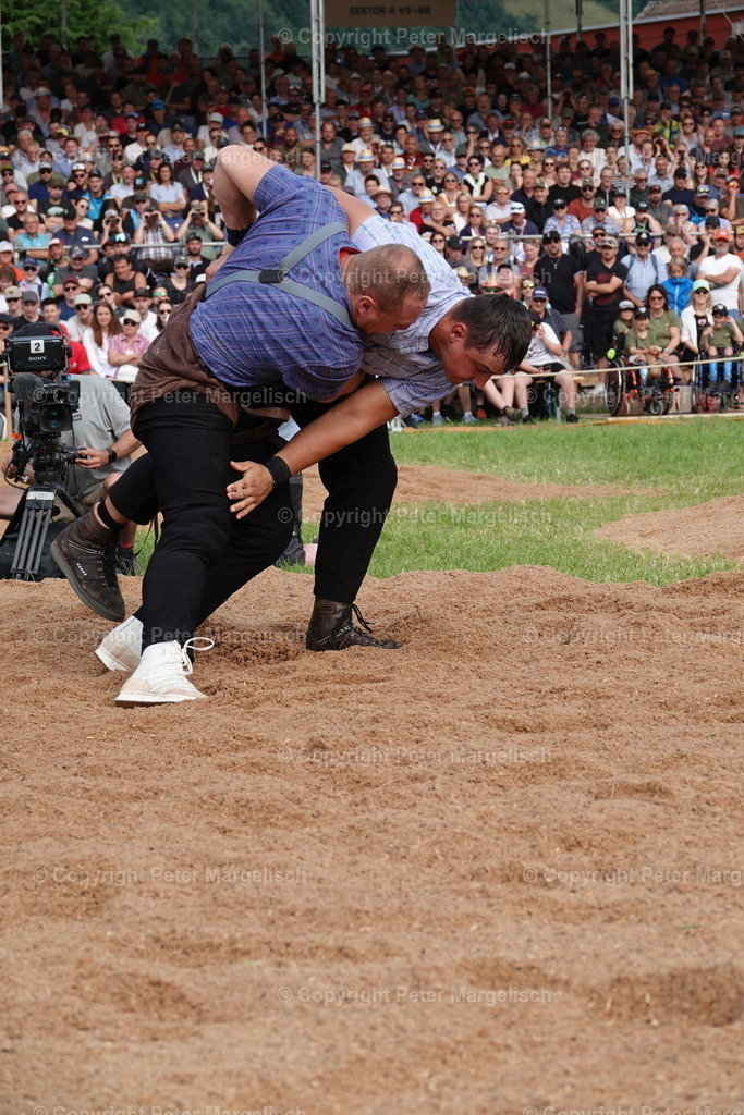 DSC01192 | Schwingen - Realisiert mit Pictrs.com
