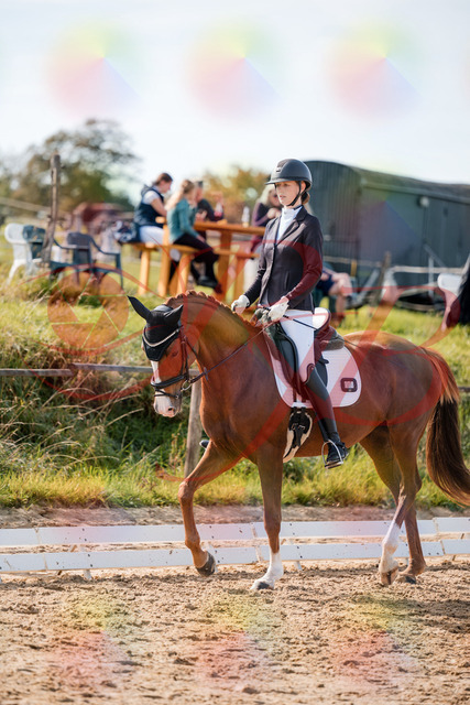 2026_10_03_Siefer-Hof_132819_Z63_88711127 | Professionelle Reitsport-, Turnier- und Eventfotografie von Robert Broda. Galerien mit ausgewählten und bearbeiteten Bildern direkt online ansehen und bestellen.