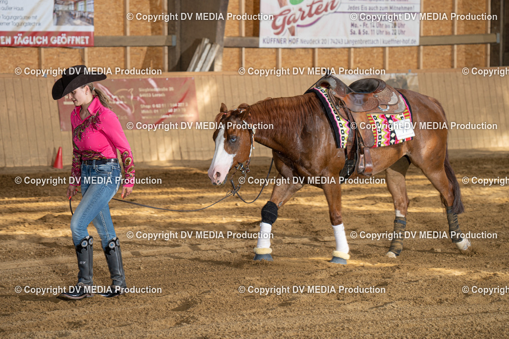 DSC00434 | dv-media-shop - Realisiert mit Pictrs.com