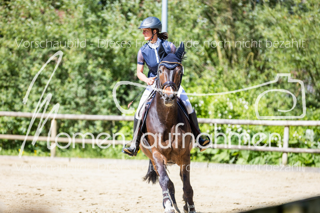 Donop24-M-Spr-041 | MomenTaufnahmen Pferdesportfotos