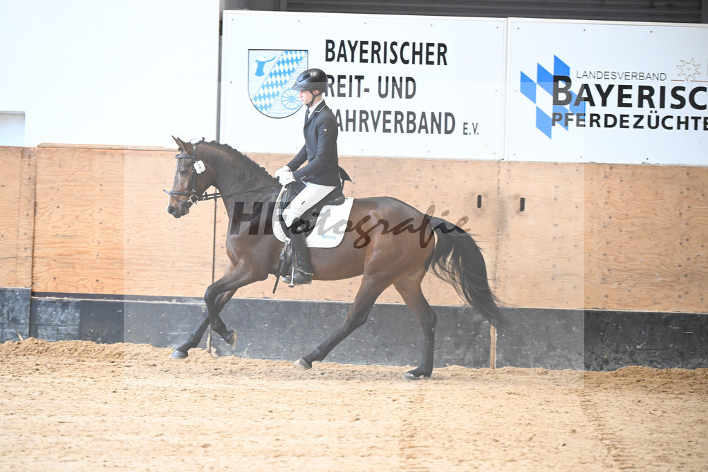 Kat-Nr. 4 Lisl-P v. Fail Deal_Purucker_50250123 | hf-fotografie - Realisiert mit Pictrs.com