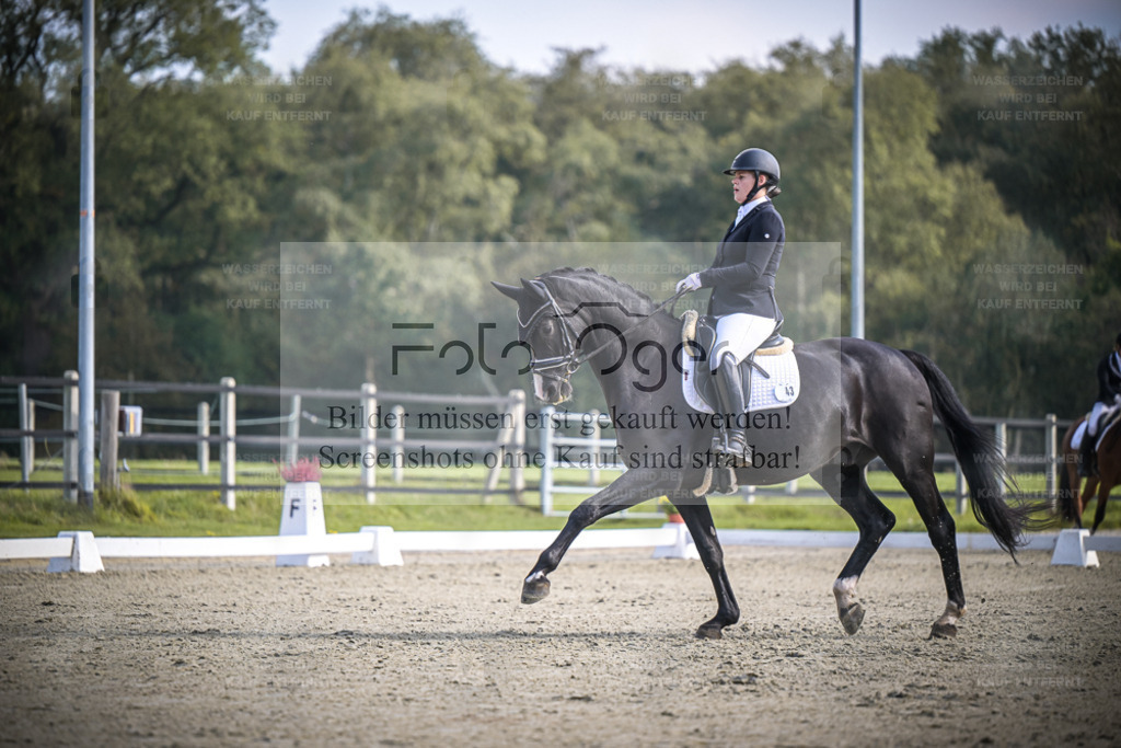 DOS_B718 | Entdecke hochwertige Reitturnierfotos von Foto Oger. Professionell, emotional und authentisch – jetzt Lieblingsmomente im Shop bestellen. - Realisiert mit Pictrs.com