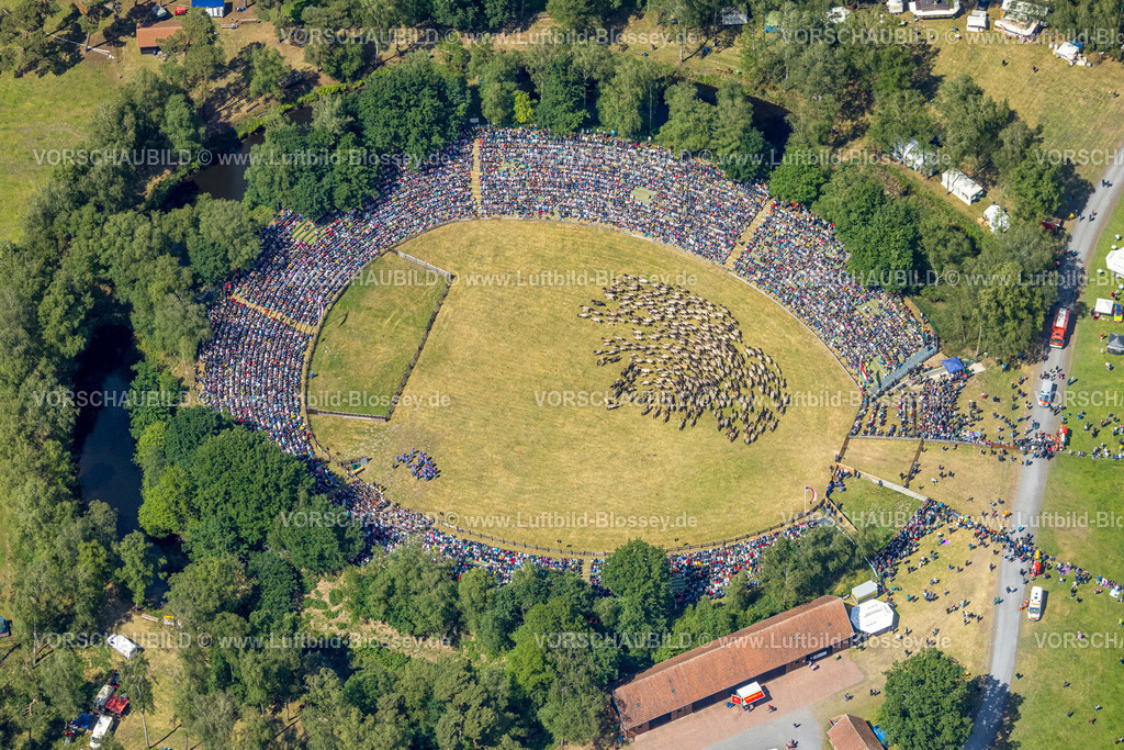 Duelmen220505143MerfelderBruchPferde | Luftbild, Wildpferdefang im Merfelder Bruch bei Dülmen, Arena der Wildpferdebahn, Herzöge von Croÿ Anwesen, Pferdeherde,  Merfeld, Dülmen, Münsterland, Nordrhein-Westfalen, Deutschland