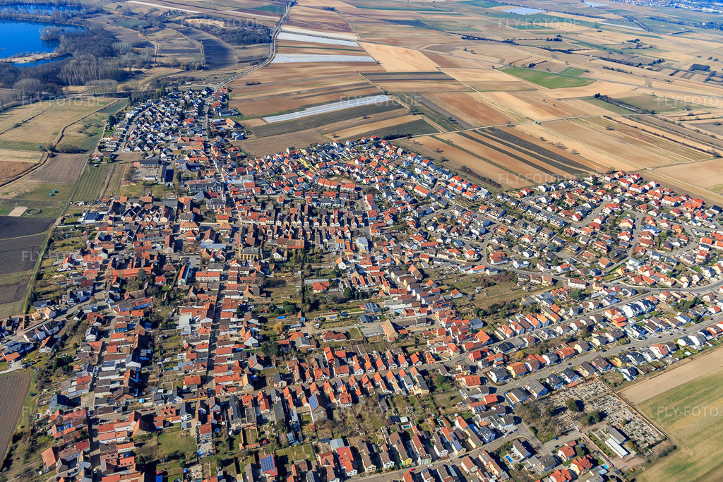Luftbild: Ortsansicht aus Osten im Ortsteil Mechtersheim in Römerberg im Bundesland Rheinland-Pfalz in Deutschland. Foto: IMG_112854.jpg vom 27.02.2019 durch Werner Riehm/FLY-FOTO.de