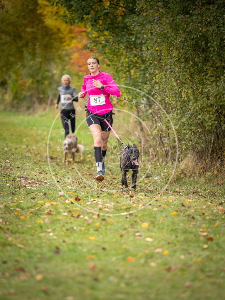 Pfotenfotografie_DV3A3191 | Hundefotografie, Tierfotograf, Pfotenfotografie, Fotoshooting Hund, Hunde Portrait, Hundesport, Hundeportraits, Heideshooting, Hunde, Sportfotograf, Hundefotograf, Turnierhundsport, THS,  - Realisiert mit Pictrs.com