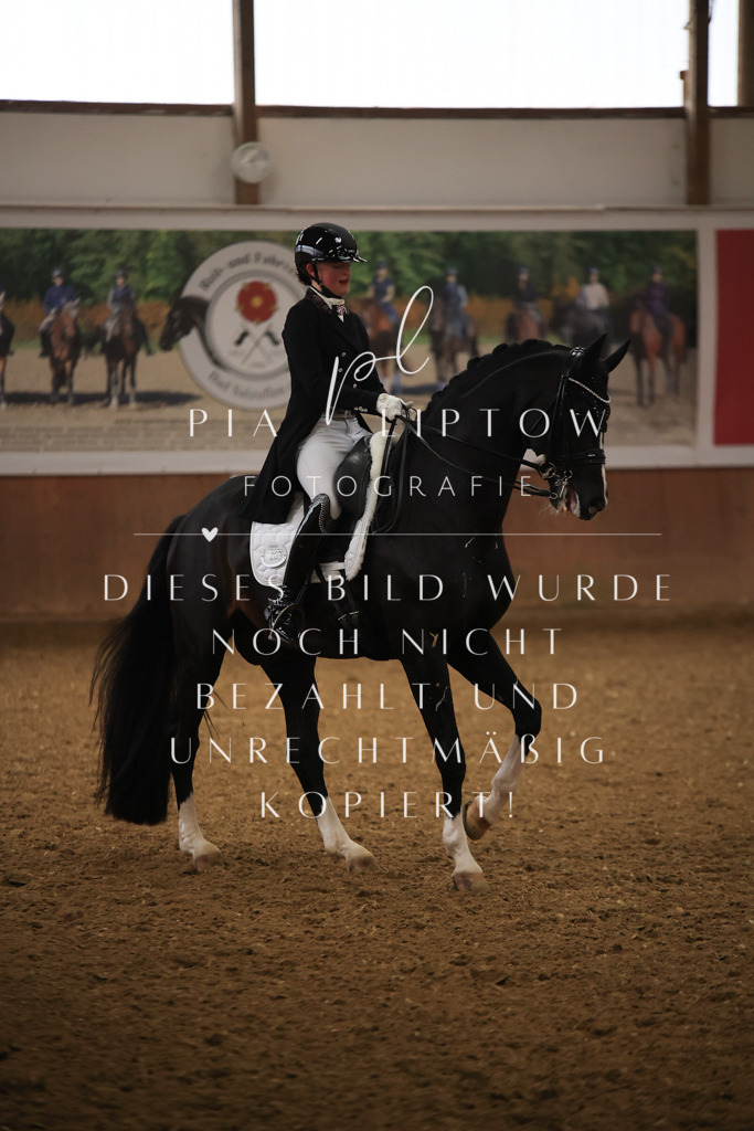 IMGT5523 | pl-fotografie