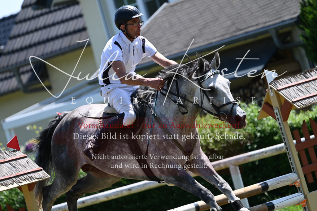 DSC_0646 | Pferde- und Turnierfotografie in Westsachsen. Pferdeportraits, Auftragszeichnungen und intuitive Kunst.