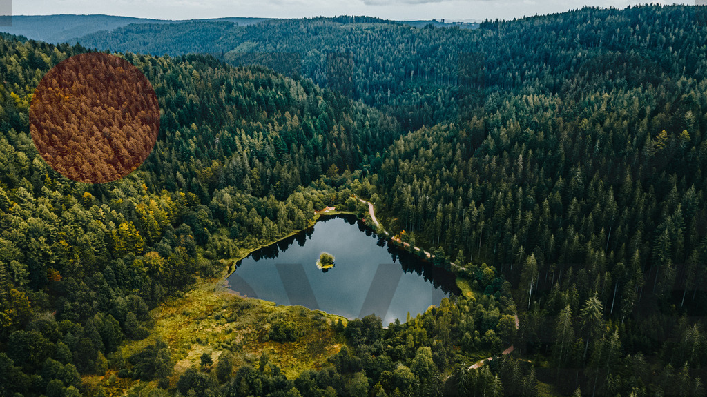 Ba-Wue | FI-LO Bildershop – Entdecken Sie beeindruckende Fotografie und inspirierende Videoproduktionen. Tauchen Sie ein in faszinierende Welten und lassen Sie sich von meinen einzigartigen Werken auf eine emotionale Reise mitnehmen. Perfekt für Kunstliebhaber und - Realisiert mit Pictrs.com