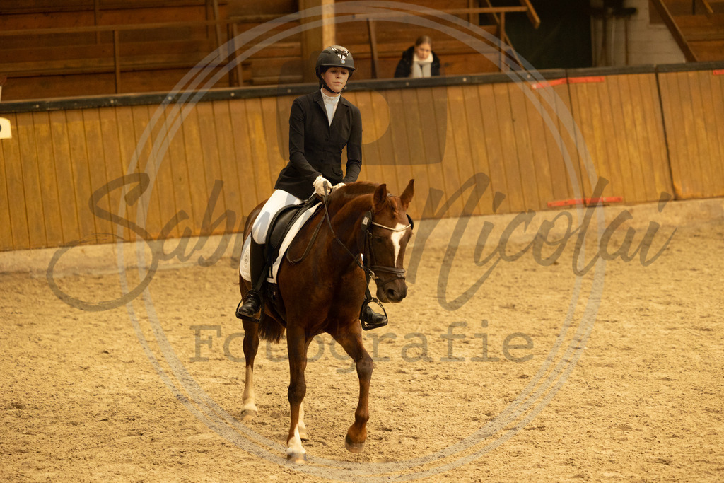 994A3772 | sabrinanicolaifotografie - Realisiert mit Pictrs.com