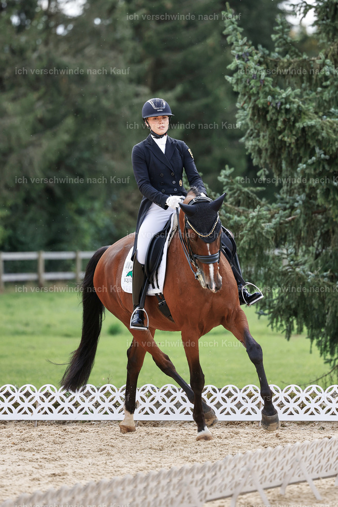 11-003-Dressur S___-StoibPH-1062 | working equitationturnier fotograf videograf stoibphotography marixx film working equitation deutschland reitsport turnierfotografie eventfotografie equestrian events